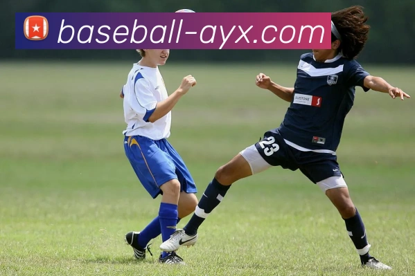 爱游戏服务体系